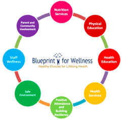 Blueprint for Health